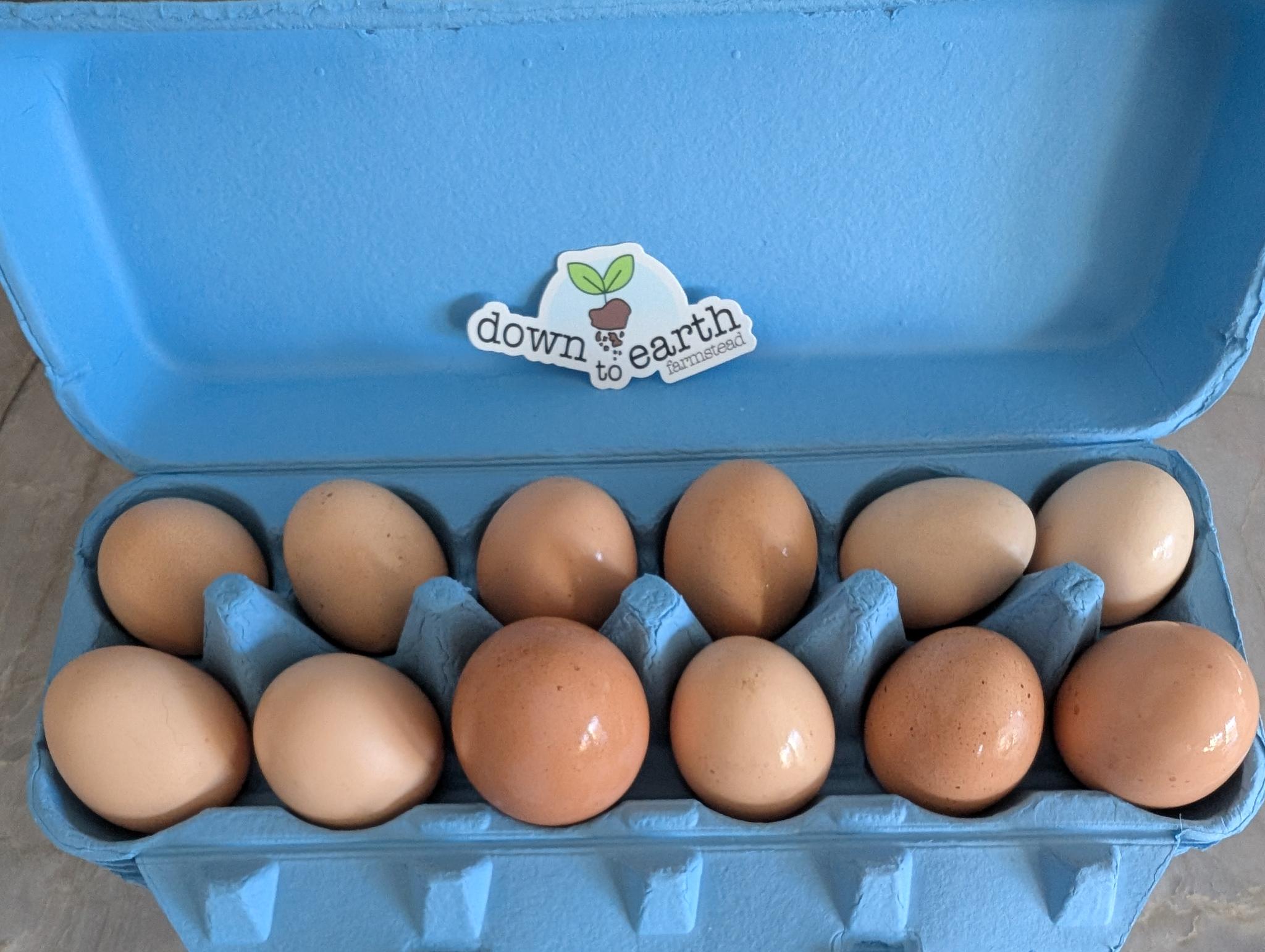 Farm Fresh Eggs