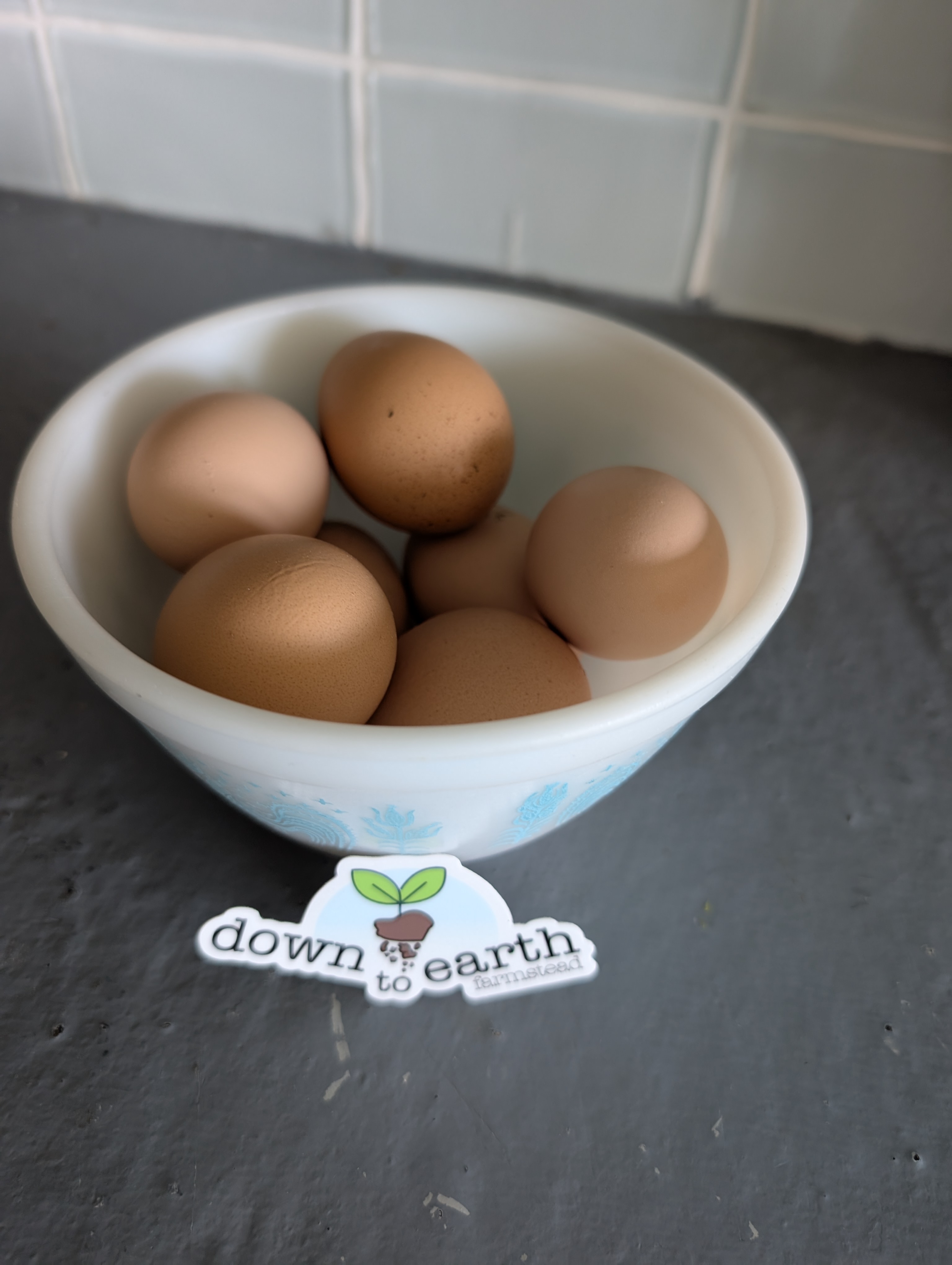 Fresh Farm Eggs
